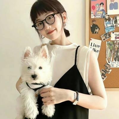 四人帮翻转校园
